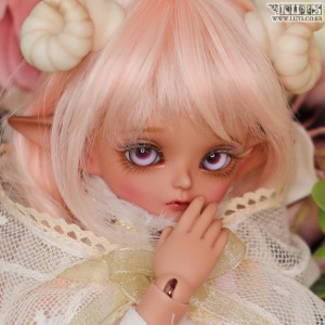 Honey31 Delf ANI Elf ver FAIRY FOREST Limited