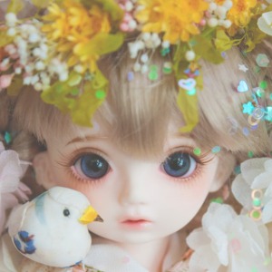 Ball jointed doll USD Momi